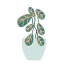 plantas icon