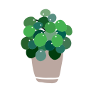 plantas icon