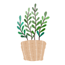 plantas icon