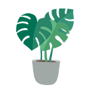 plantas icon