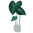 plantas icon