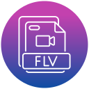 flv icon