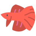 pez betta icon