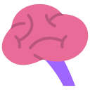 cerebro icon