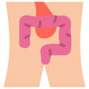 digestivo 