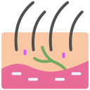 dermatología icon