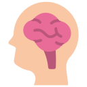 cerebro humano icon