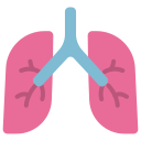 pulmones icon