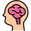 cerebro humano icon