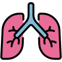 pulmones icon