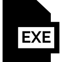 exe 