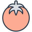 tomate icon