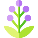 salvia icon