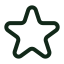 estrella de calificación icon