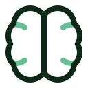 cerebro icon