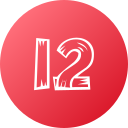 12 icon