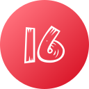 16 icon