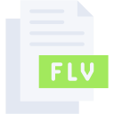 flv icon