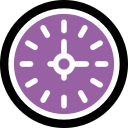 reloj icon