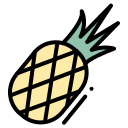 piña icon