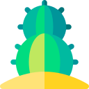 cactus icon