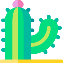 cactus icon