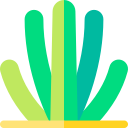 cactus de tubo de órgano icon