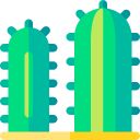 cactus icon