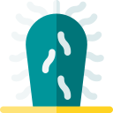 cactus viejo icon