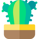 cactus icon