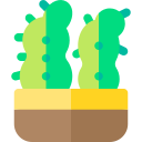 cactus icon