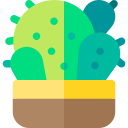 cactus icon