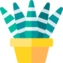 cactus cebra icon