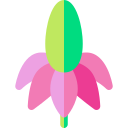 멕시코 모자 꽃 icon