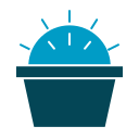 Cactus icon