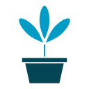 Plant pot icon
