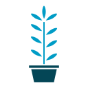 Plant pot icon
