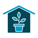 plantas de casa 