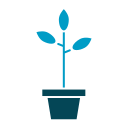 Plant pot icon
