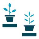 Plant pot icon