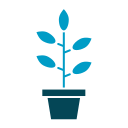 Plant pot icon