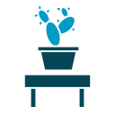 Cactus icon