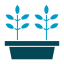 Plant pot icon