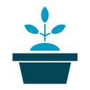 Plant pot icon