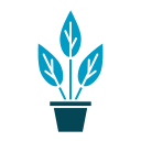 Plant pot icon