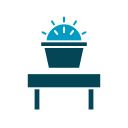 Cactus icon