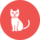 gato negro icon