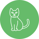 gato negro icon