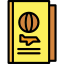 pasaporte icon