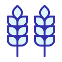 trigo icon